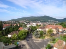 Diedesfeld_2008_44